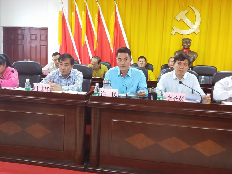 光村镇召开上年度基层党组织书记抓党建工作述职评议会暨2019年脱贫