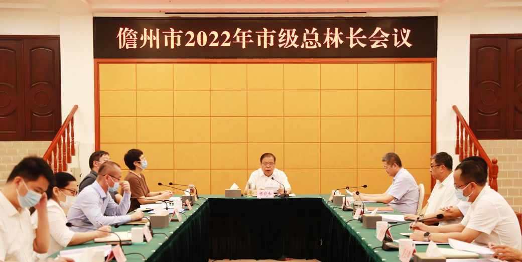 儋州市召开2022年市级总林长会议  杨晓和讲话  邹广主持  何先英参加（配图）