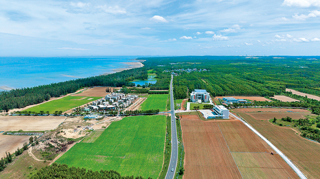 海南环岛旅游公路儋州海头段成为琼西旅游亮点  偏安烟火畔  心醉自然中（配图）