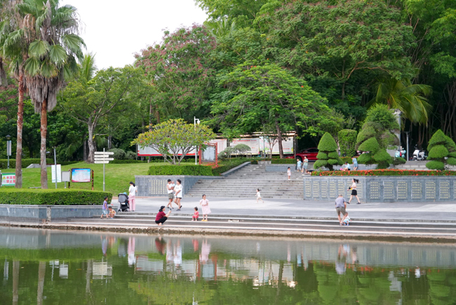 炎炎夏日  公园消暑
